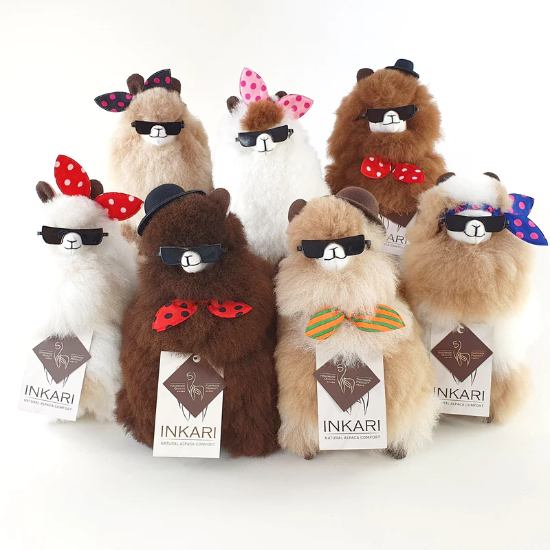 Coole Alpaka-Sonnenbrille – Small und Medium Alpakas – Bild 7