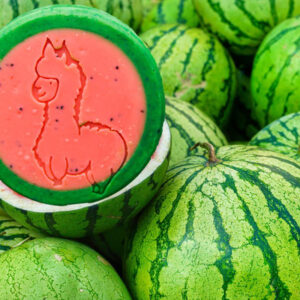 Melone - die Sommerliche