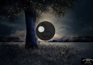 Moonlight - die Magische