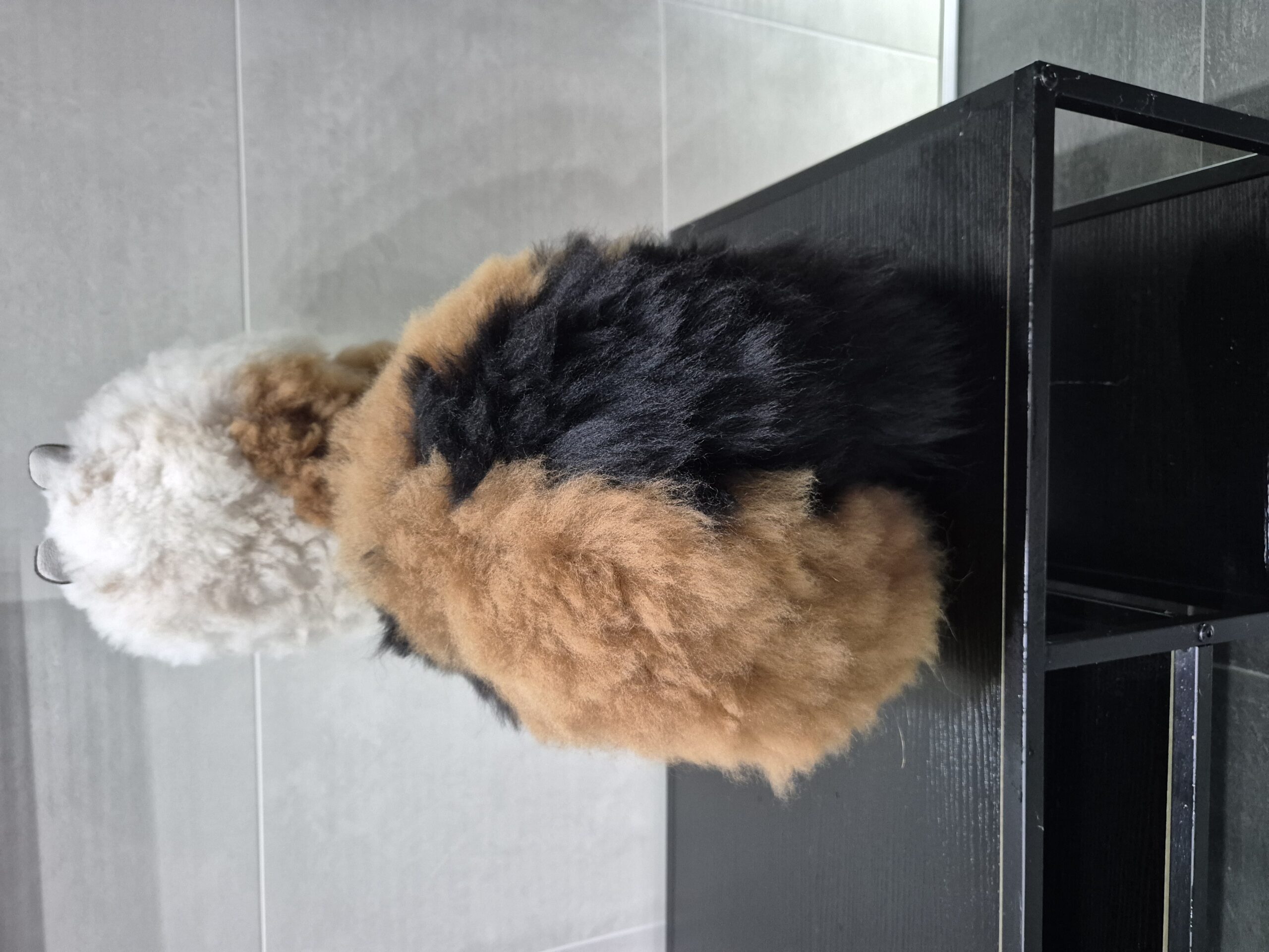 Inkari - Alpaka Large 50cm - Limited Edition - Calico – Bild 3