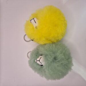 Schüsselanhänger Pom Pom kopf helle farben